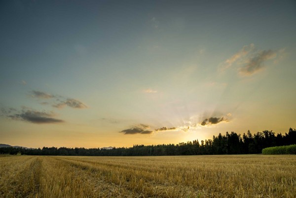 precision agriculture
