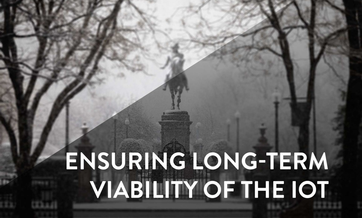 iot long term viability