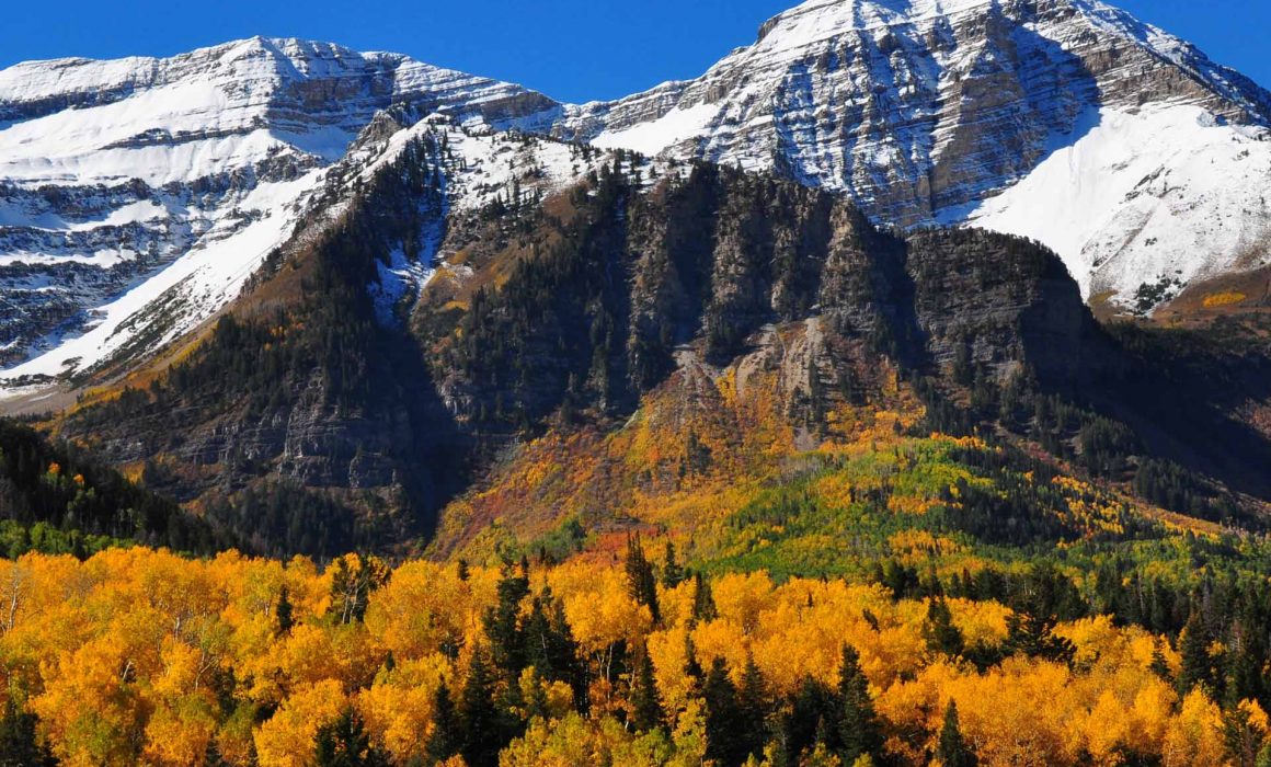 Utah RPMA Network