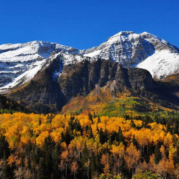 Utah RPMA Network