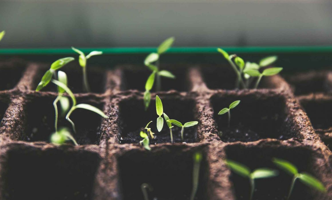 Smart Urban Gardening